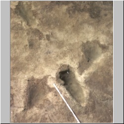 px85b-7-24 dodm3.jpg